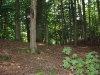 summer 2010 1087